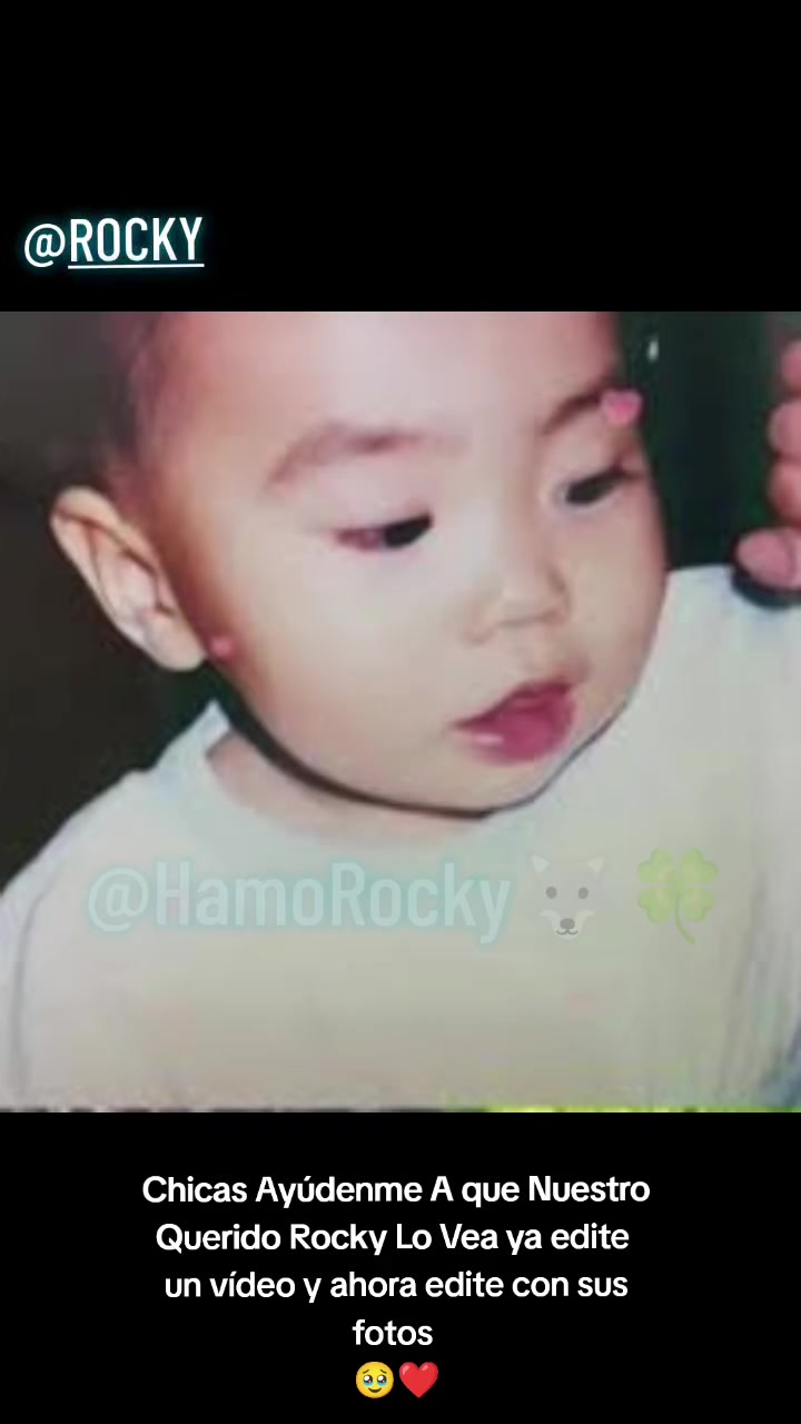 @Hamo Rocky🐺🍀
