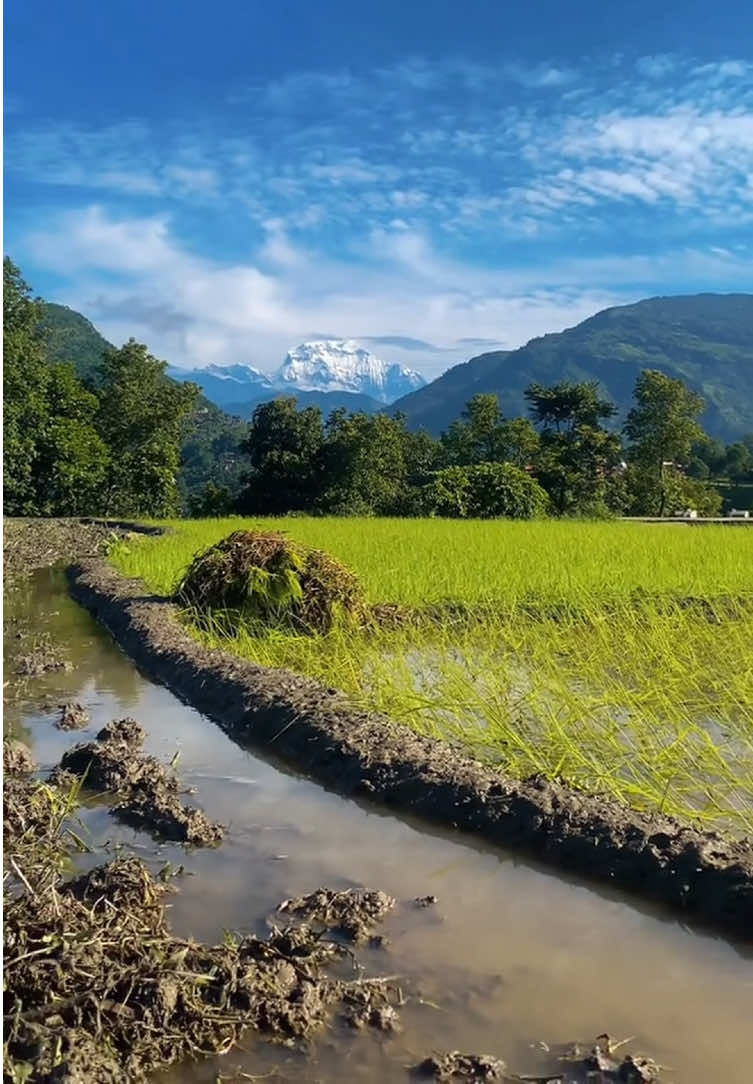 @ganeshexplore