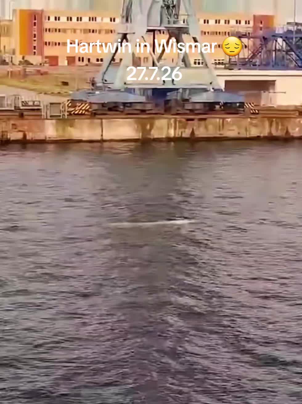 @Carola68 🏝Team Insel Rügen🏝