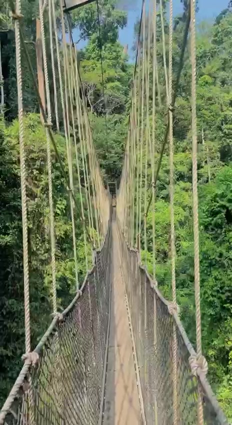 @Kakum National Park