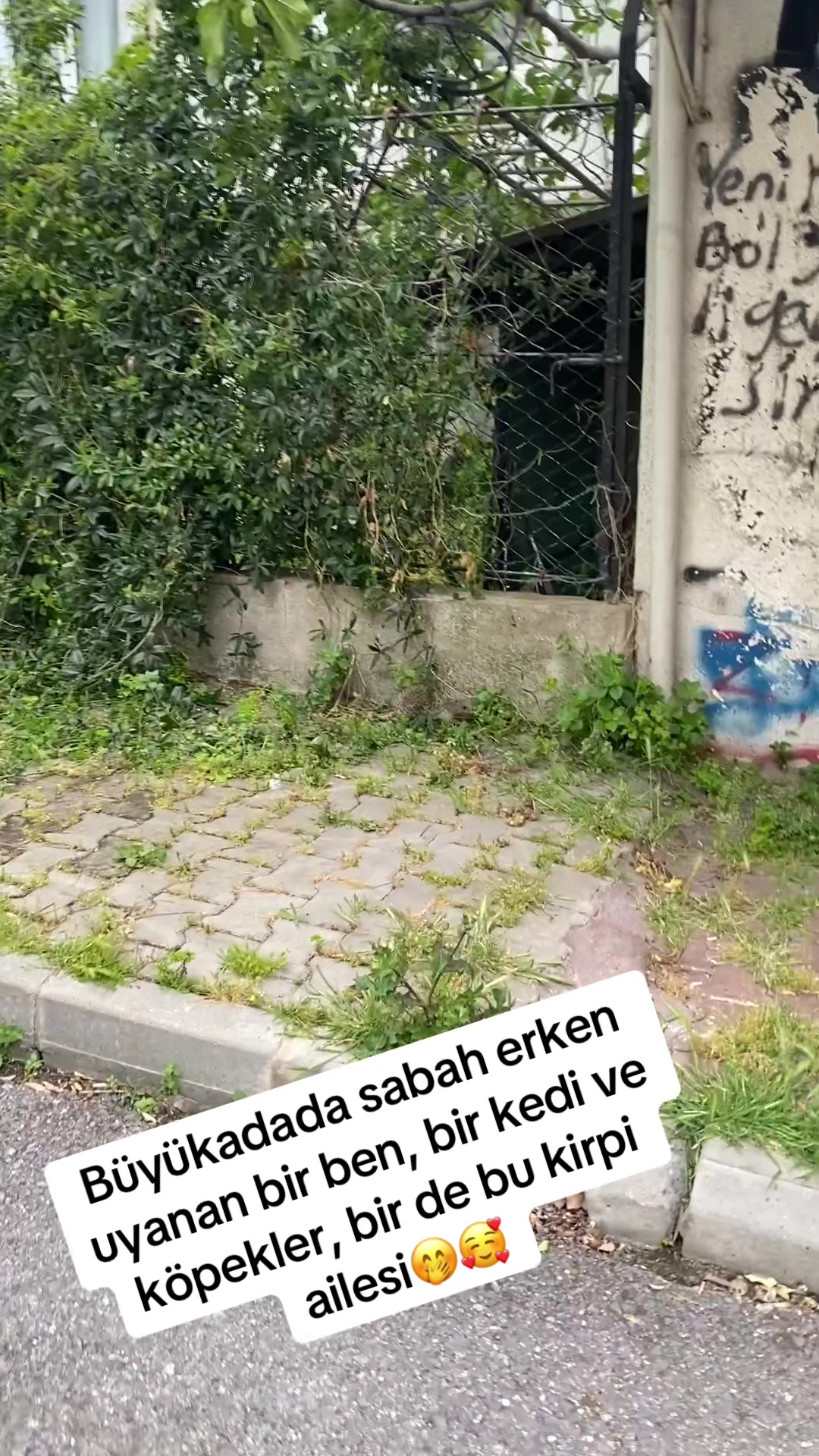 @Şapkalı Kadın