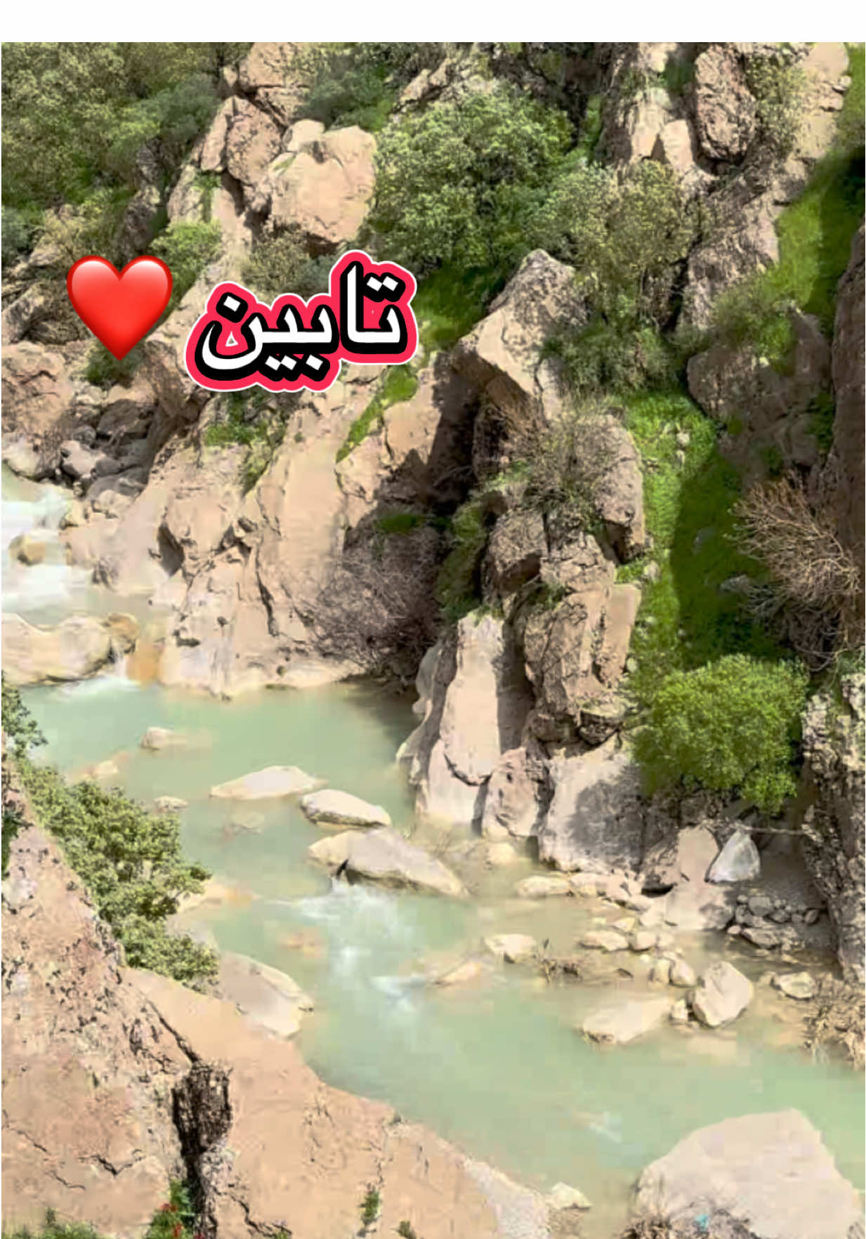 @Car For Rent 🚘سەیارە بۆ کـرێ