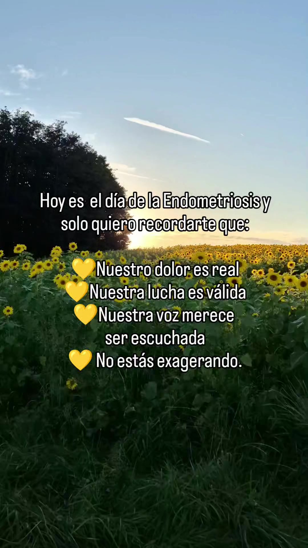 @Psicológa Rebeca Pérez 💖