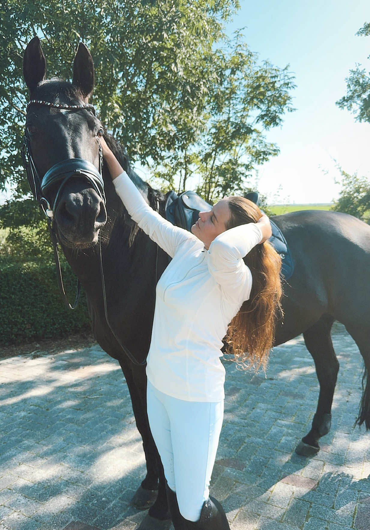 @fmnschothorses