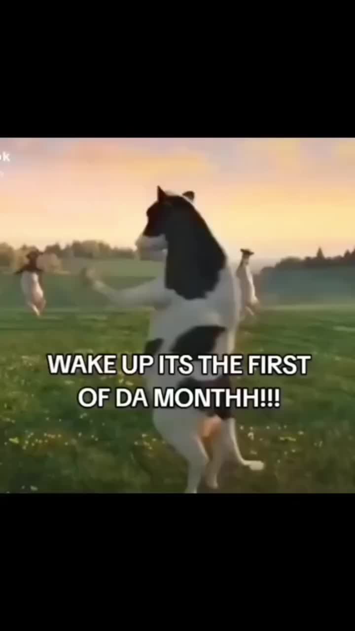 @🌎Tiktok Trends🌎