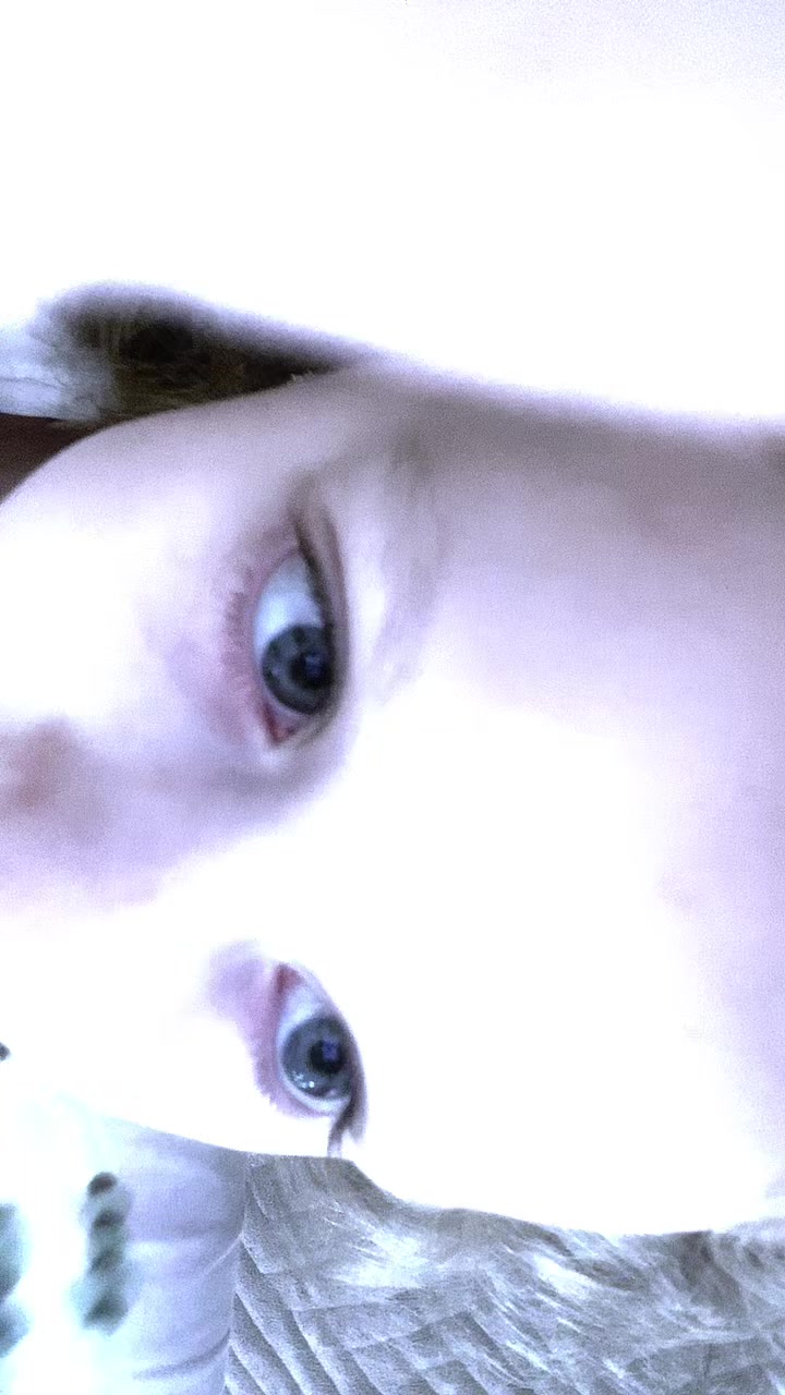 @๐พ๐๐ฌ๐ ๐_๐ท๐ฉ๐๐ฑ๐ฒ๐จ๐ฐ๐โฌ