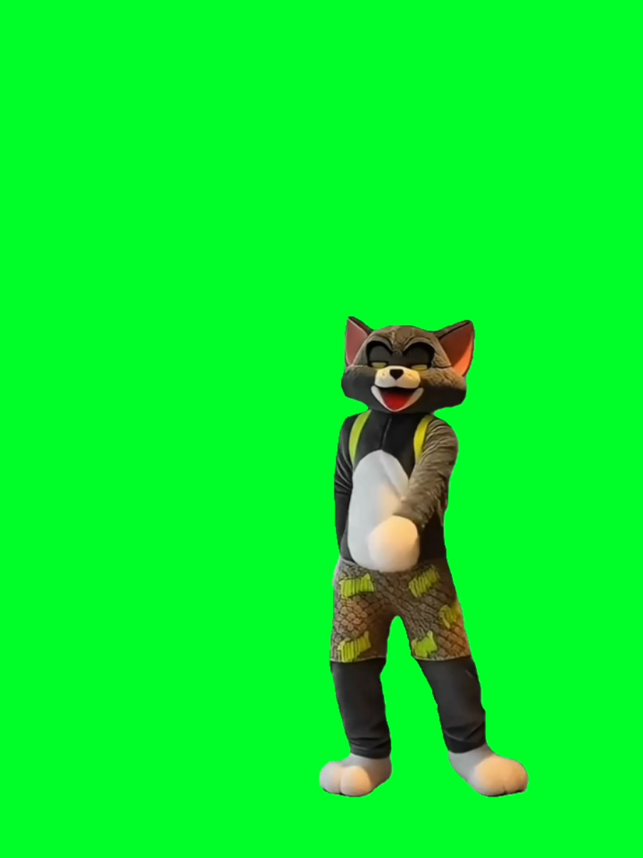 @TikTok Template
