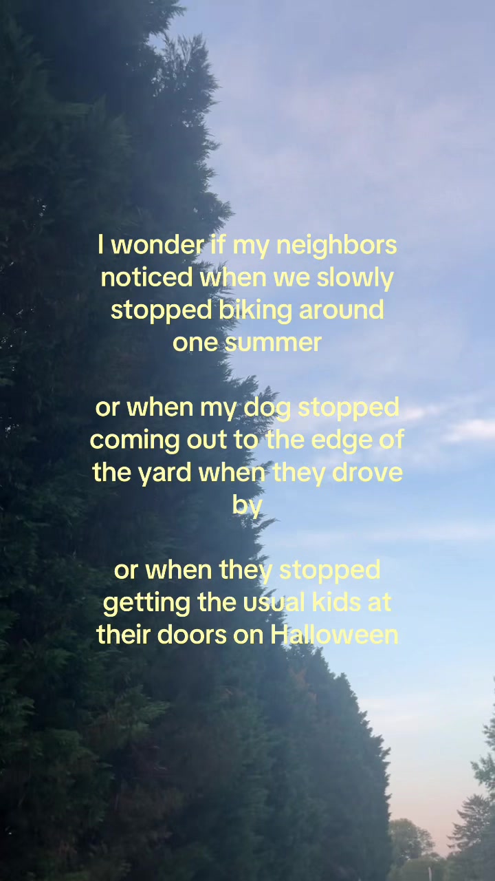 @🌲💐🫐