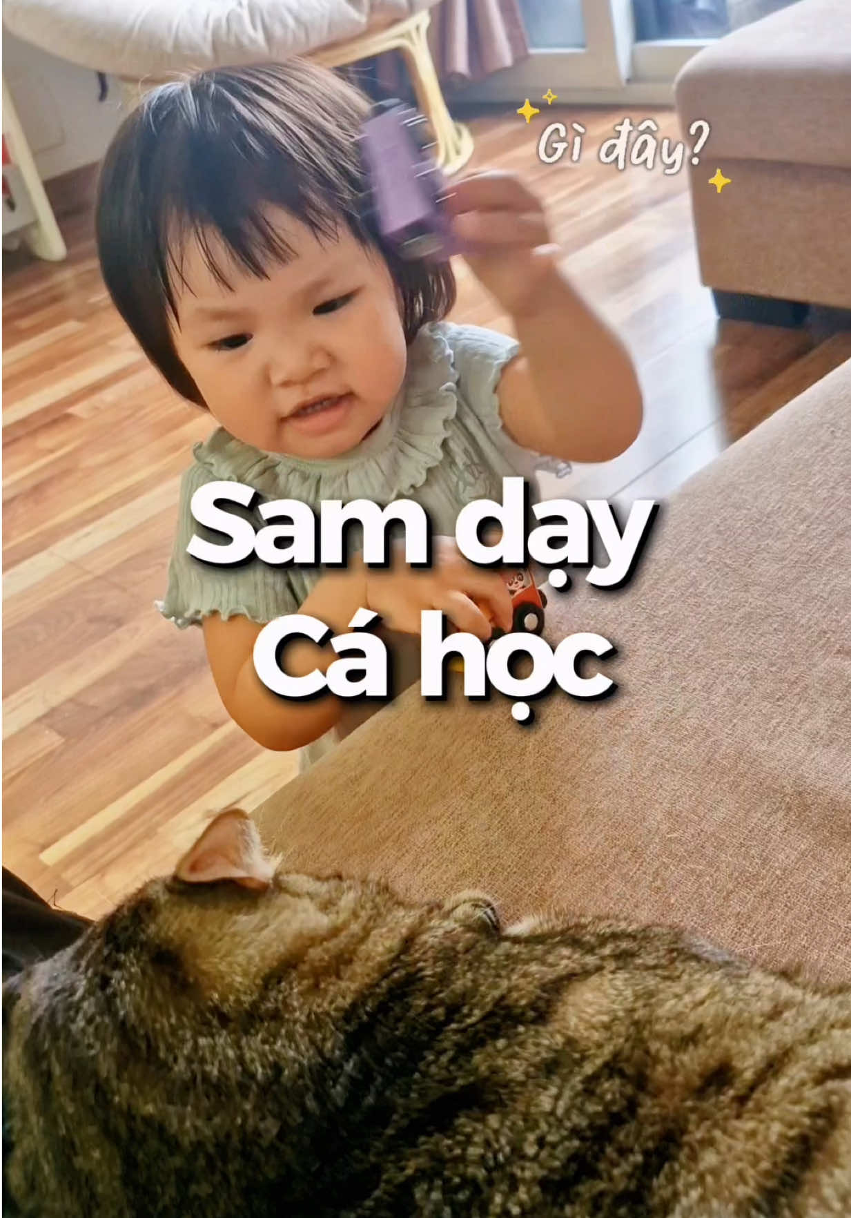 @Gia Đình Cá Cua