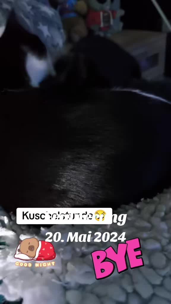 @Joana🦝🦝🦝🦝