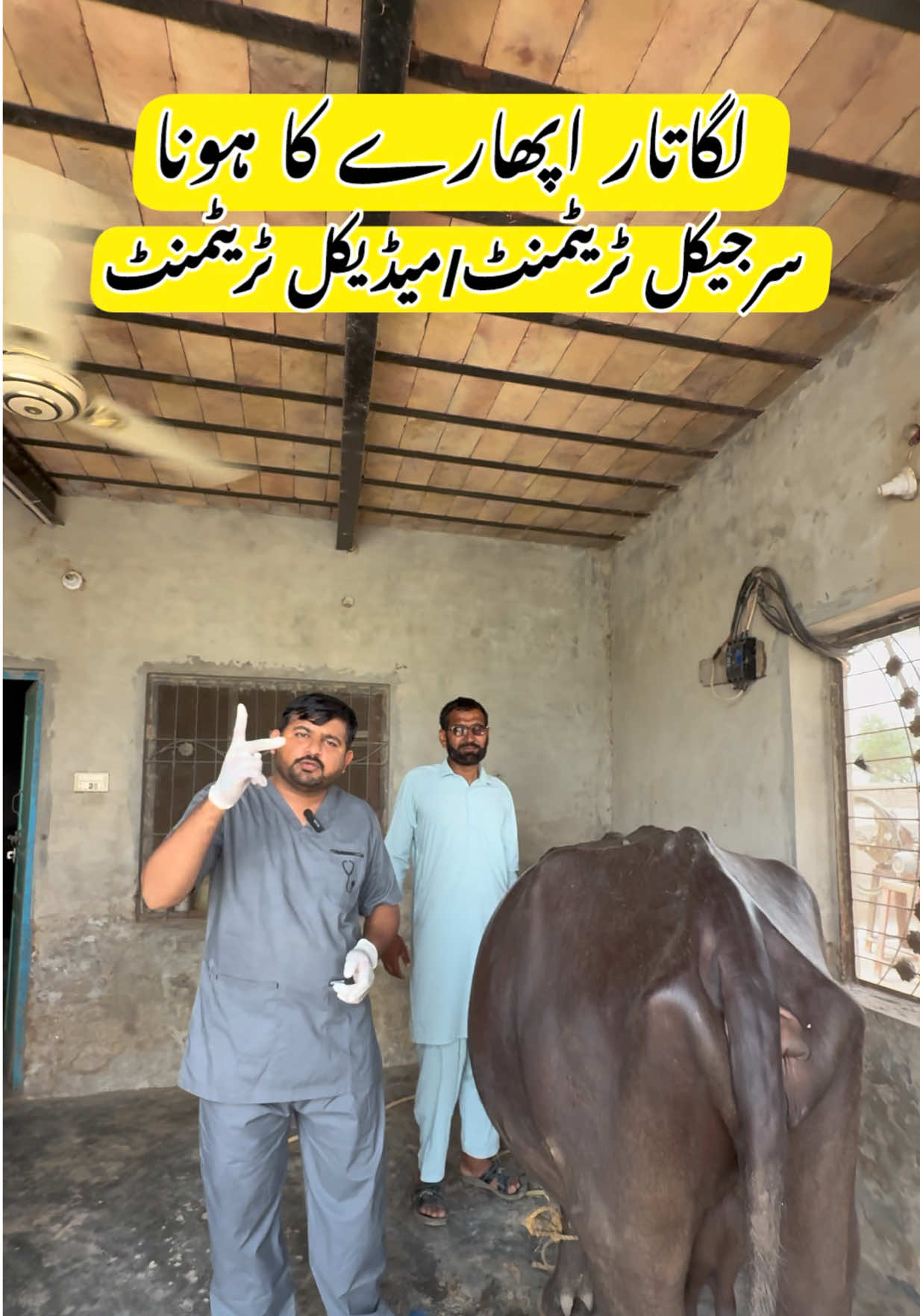 @Dr.Mohsin