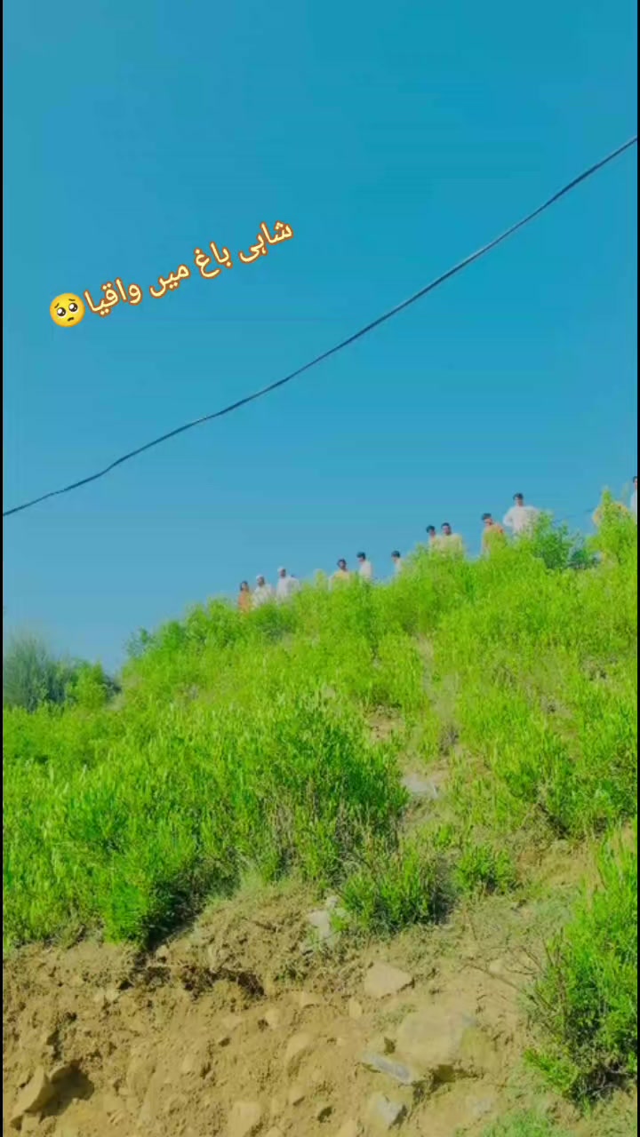 @HASAN 🦅