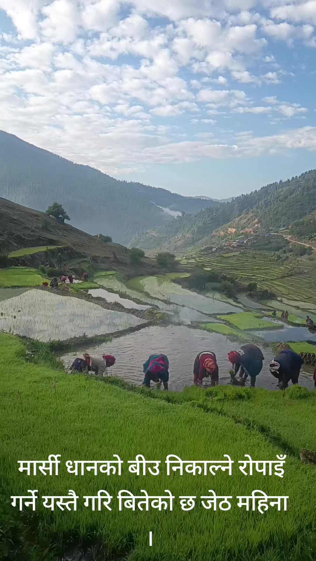 @जनक कार्की ( जुम्ली छोट्या )
