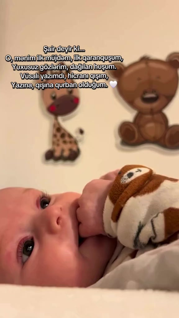 @K&ouml;rpə arzusu👶&Uuml;middən m&ouml;c&uuml;zəyə