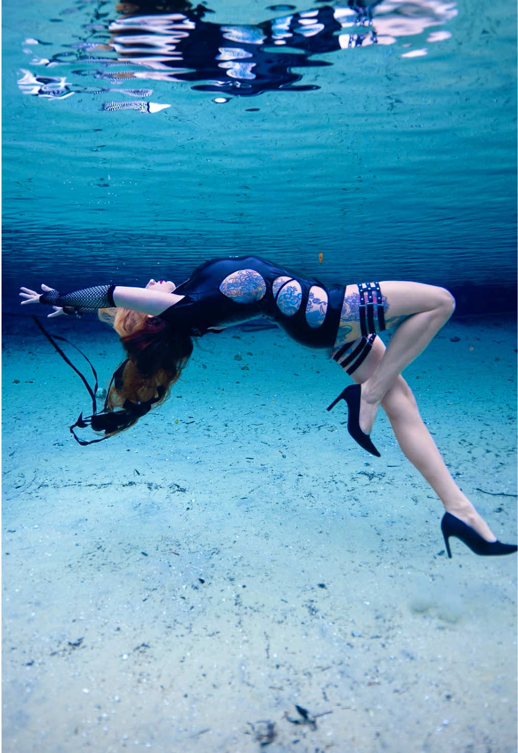 @Coralia Dives 🧜&zwj;♀️