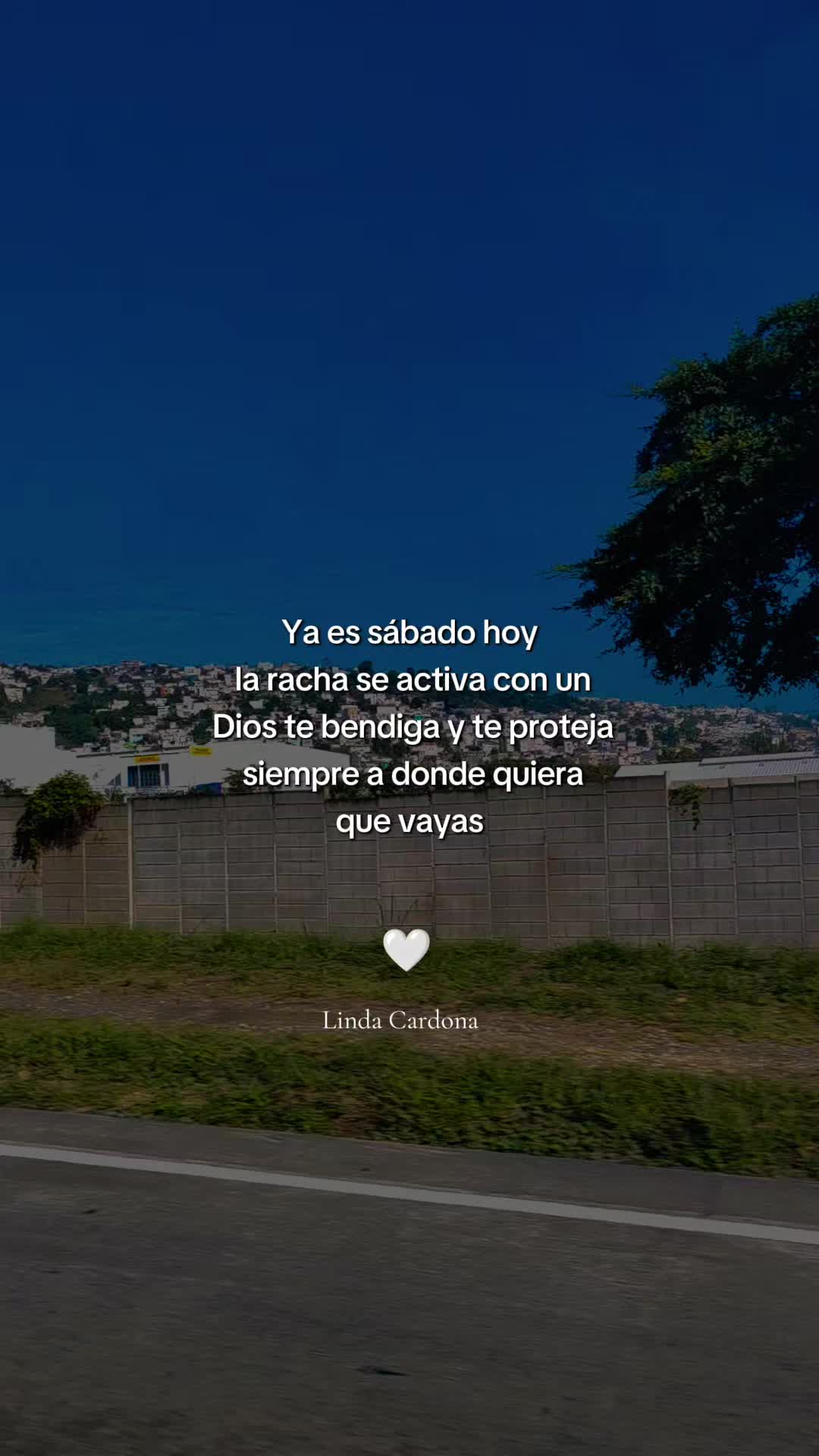 @Linda Cardona 🪼🪐