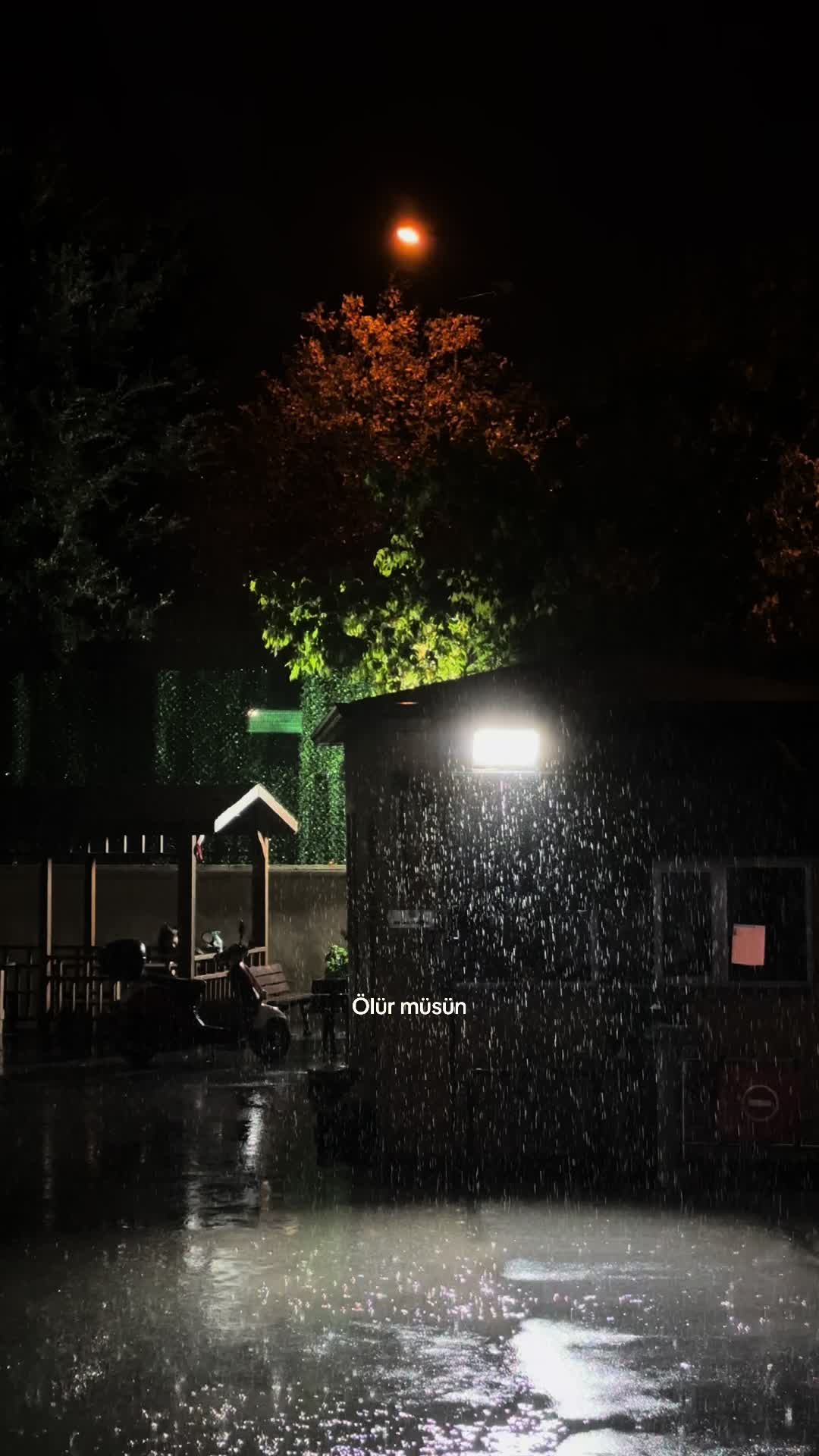 @𝘼𝙮𝙡𝙖