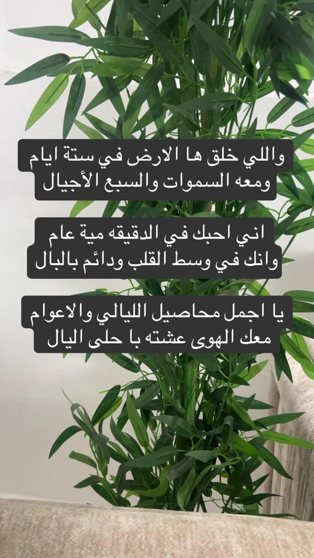 @AL nawawi 🦅