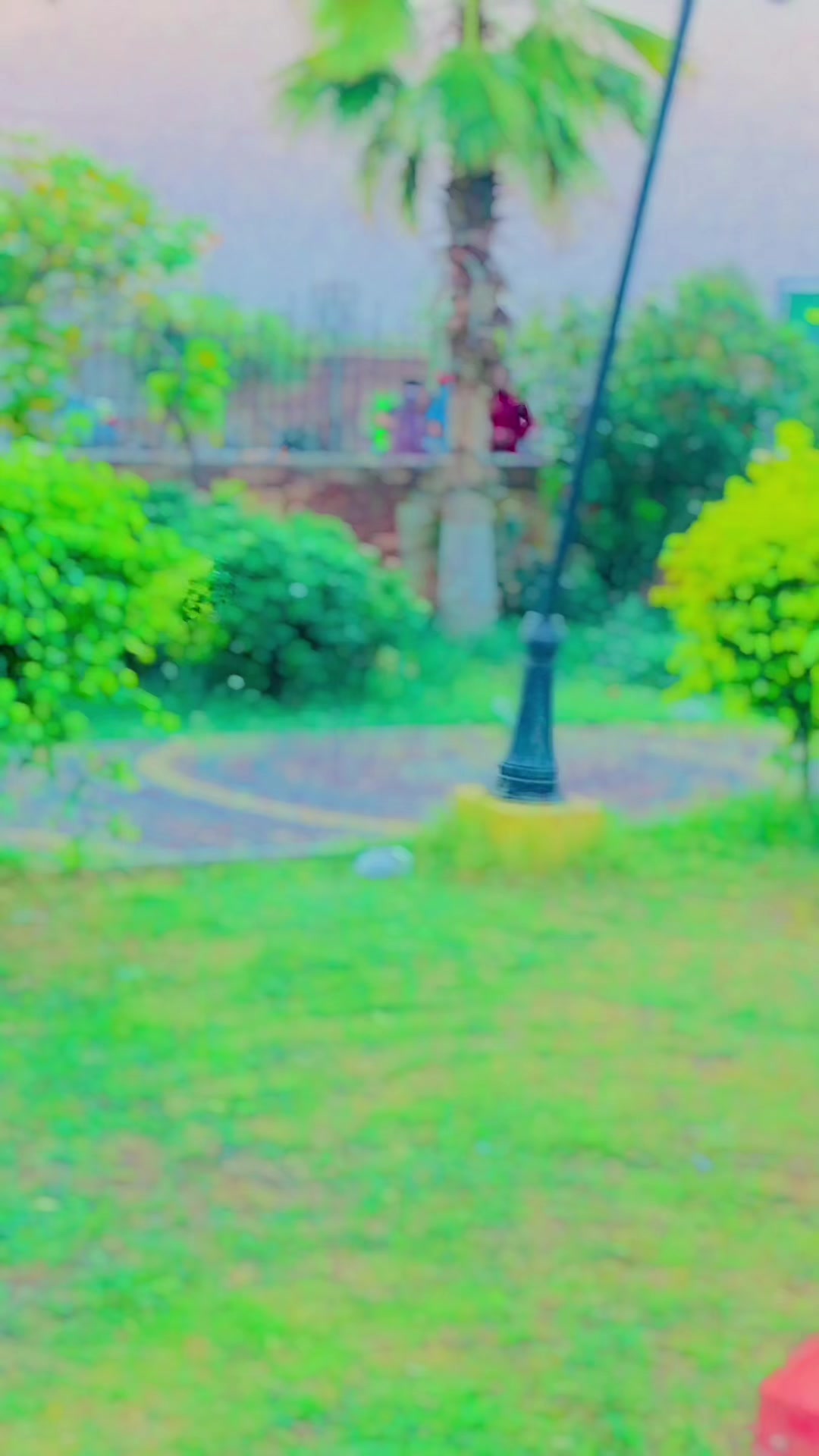 @Zain jani rajpoot