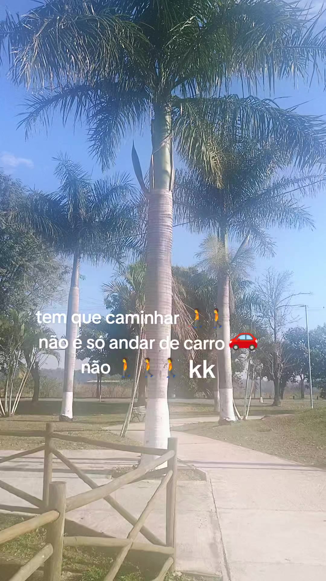 @Sônia Tavares campos