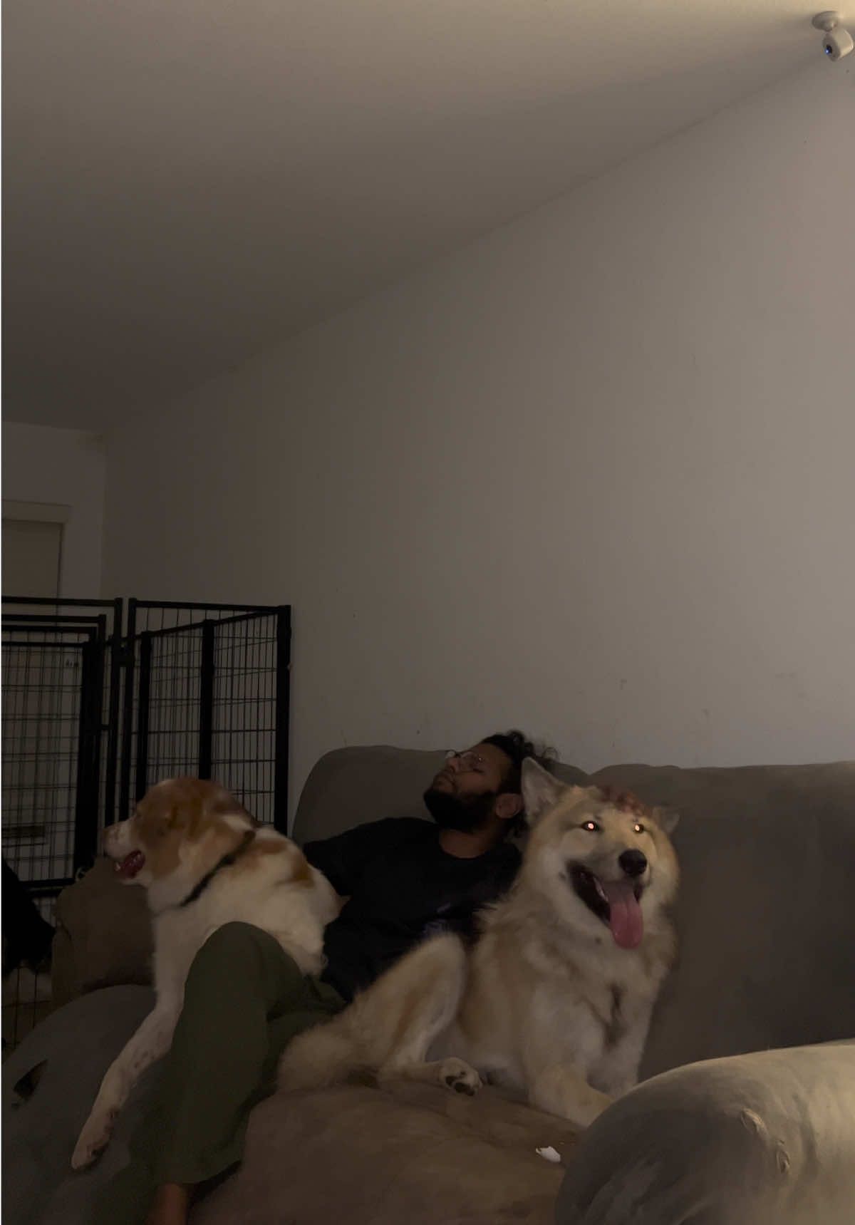 @Neko, Tokahli and Bear