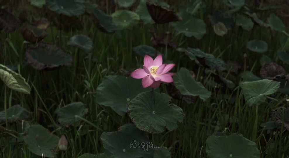 @សំឡេង&hellip;