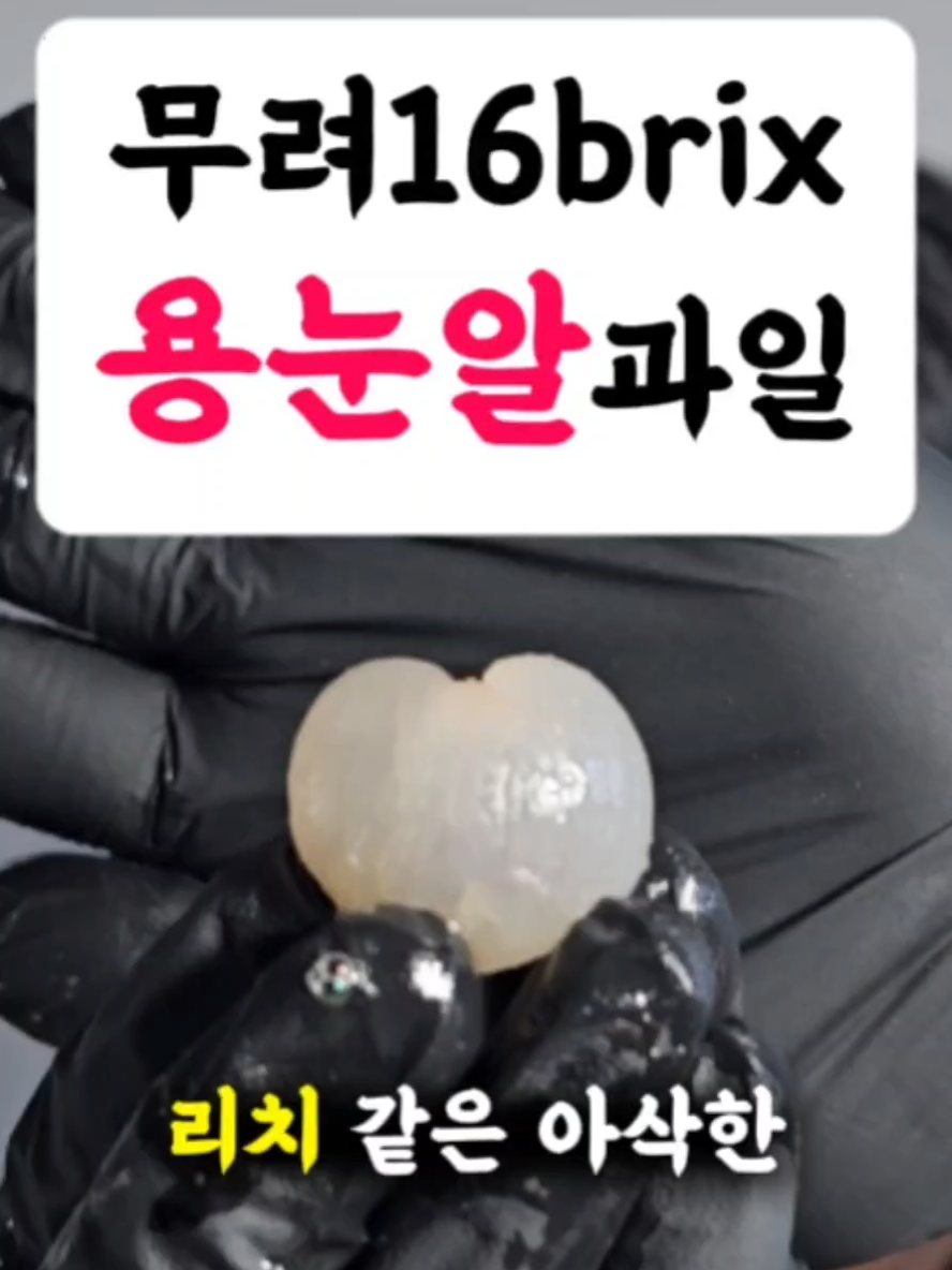 @농부대첩