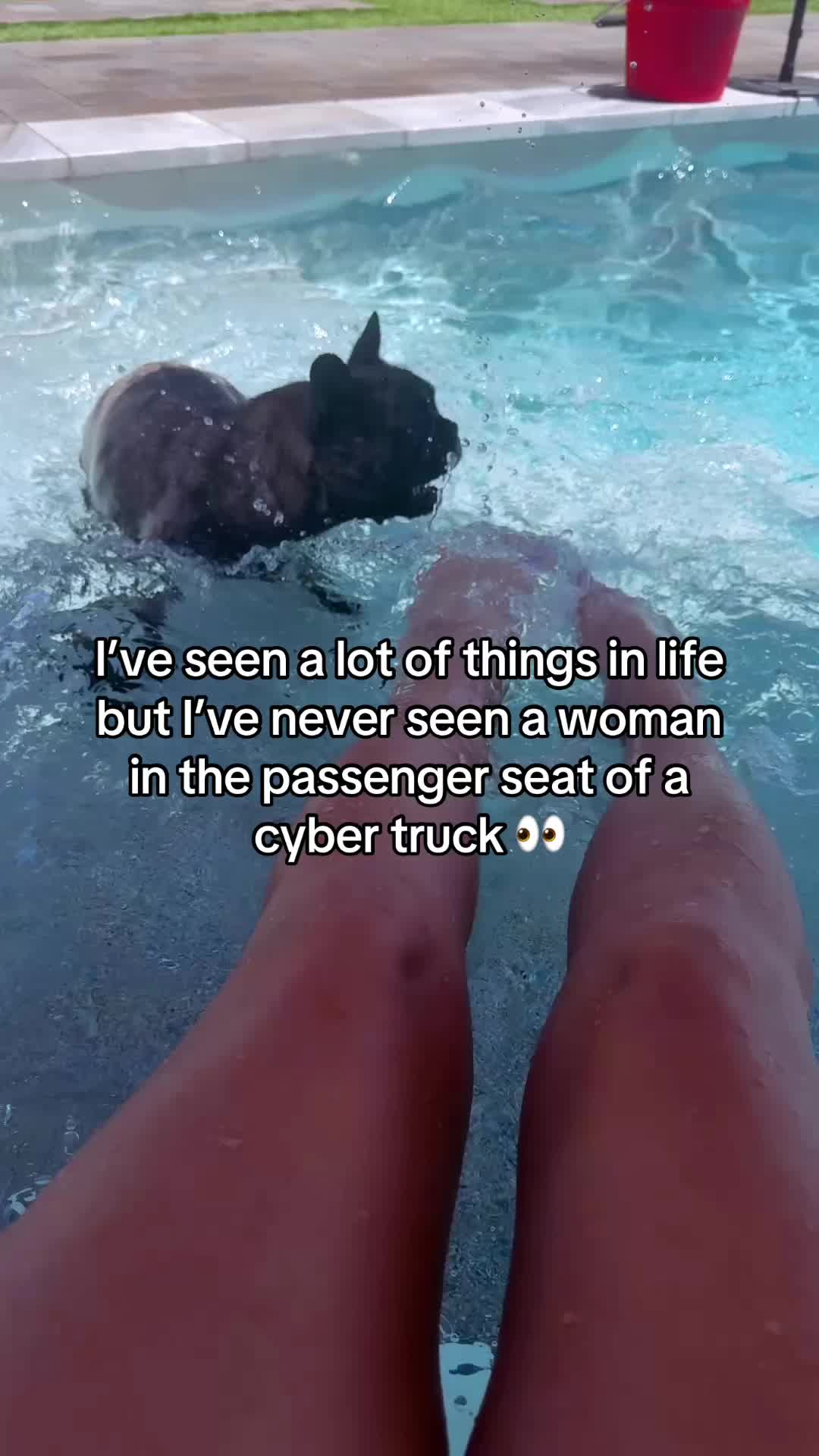 @mamabear2threecubs