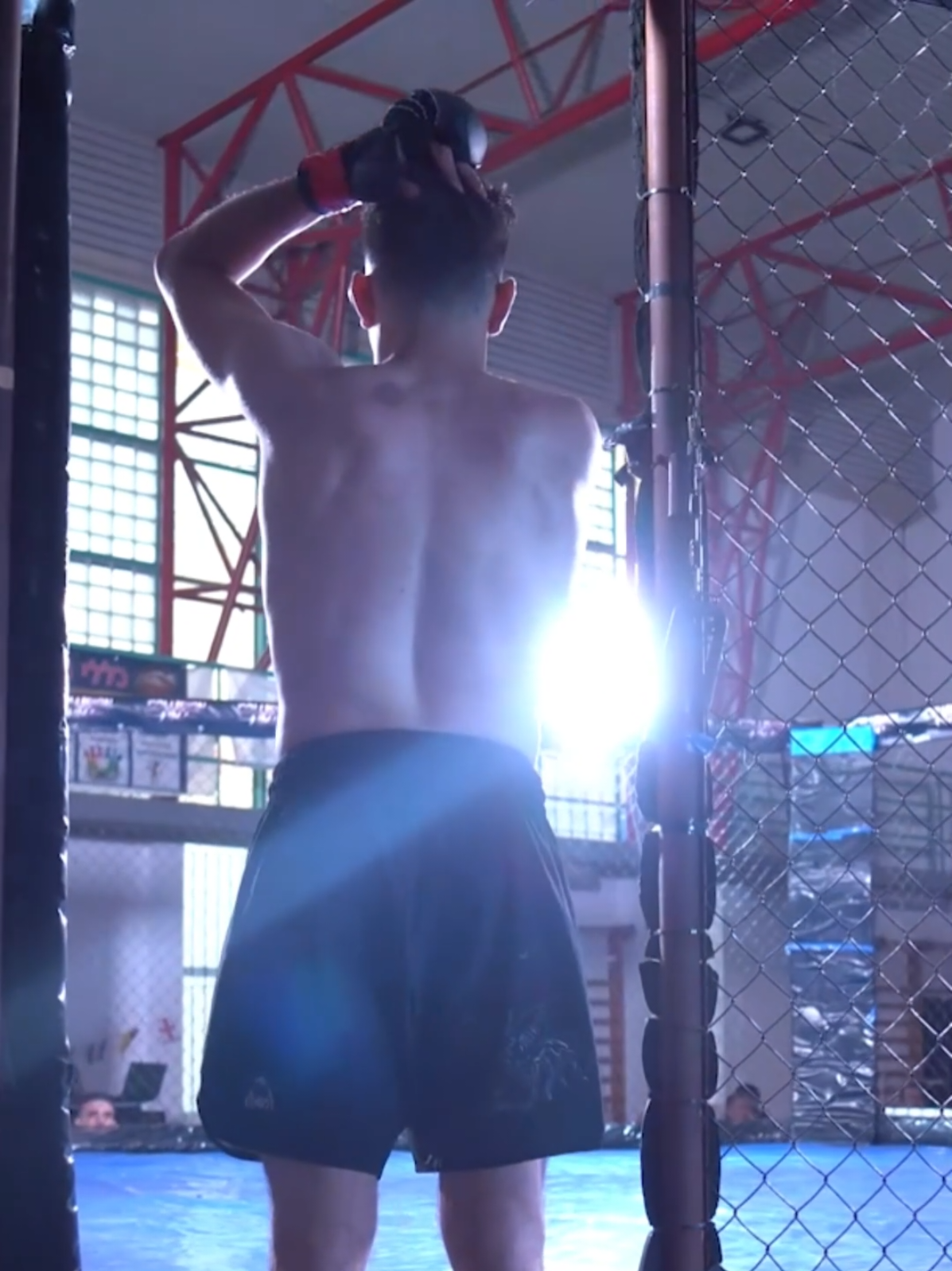 @collision mma