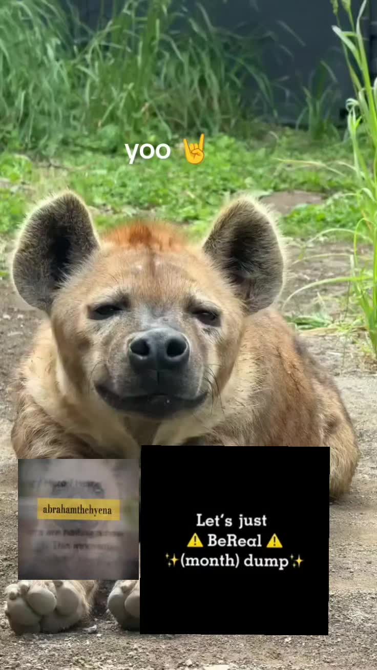 @AbrahamTheHyena🆒6️⃣9️⃣