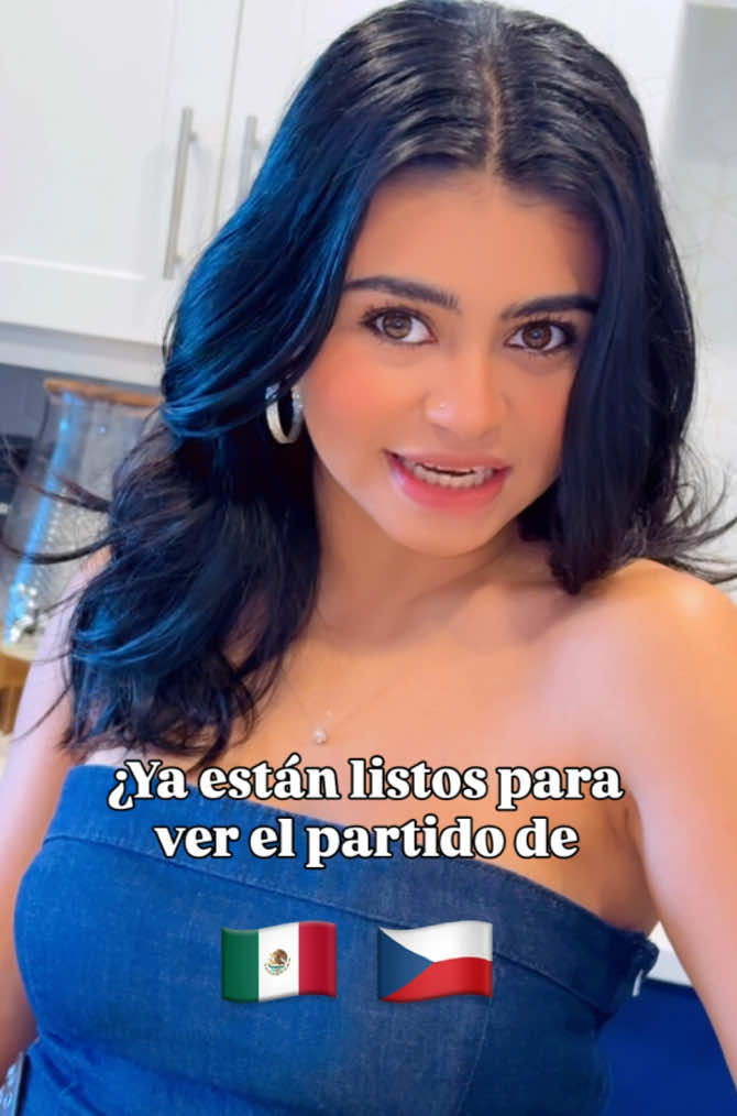 @sofialopezviolinist