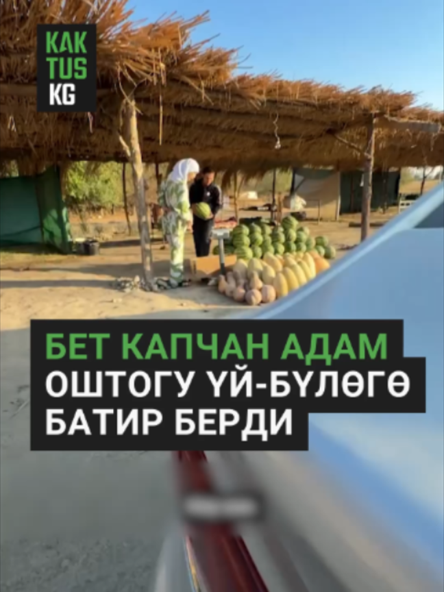 @Kaktus KG