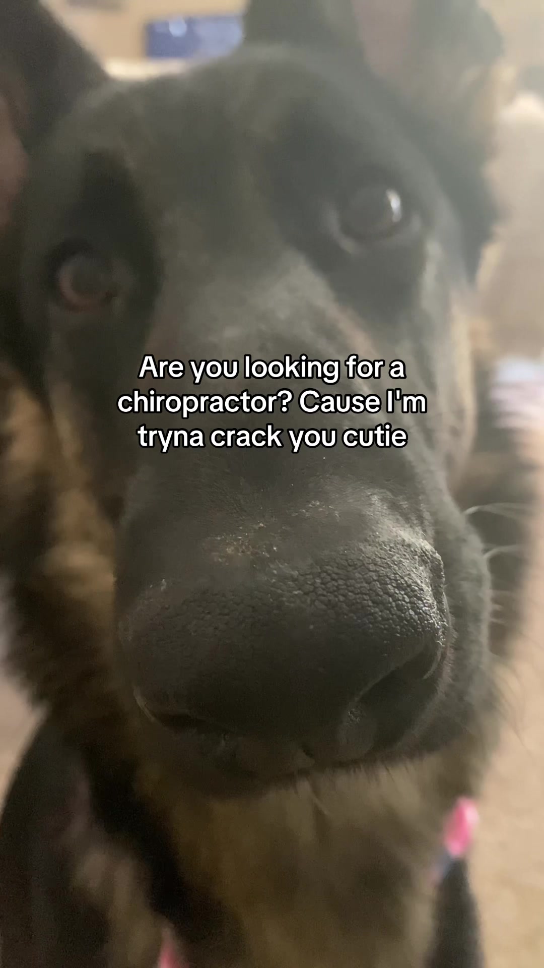@Bhris