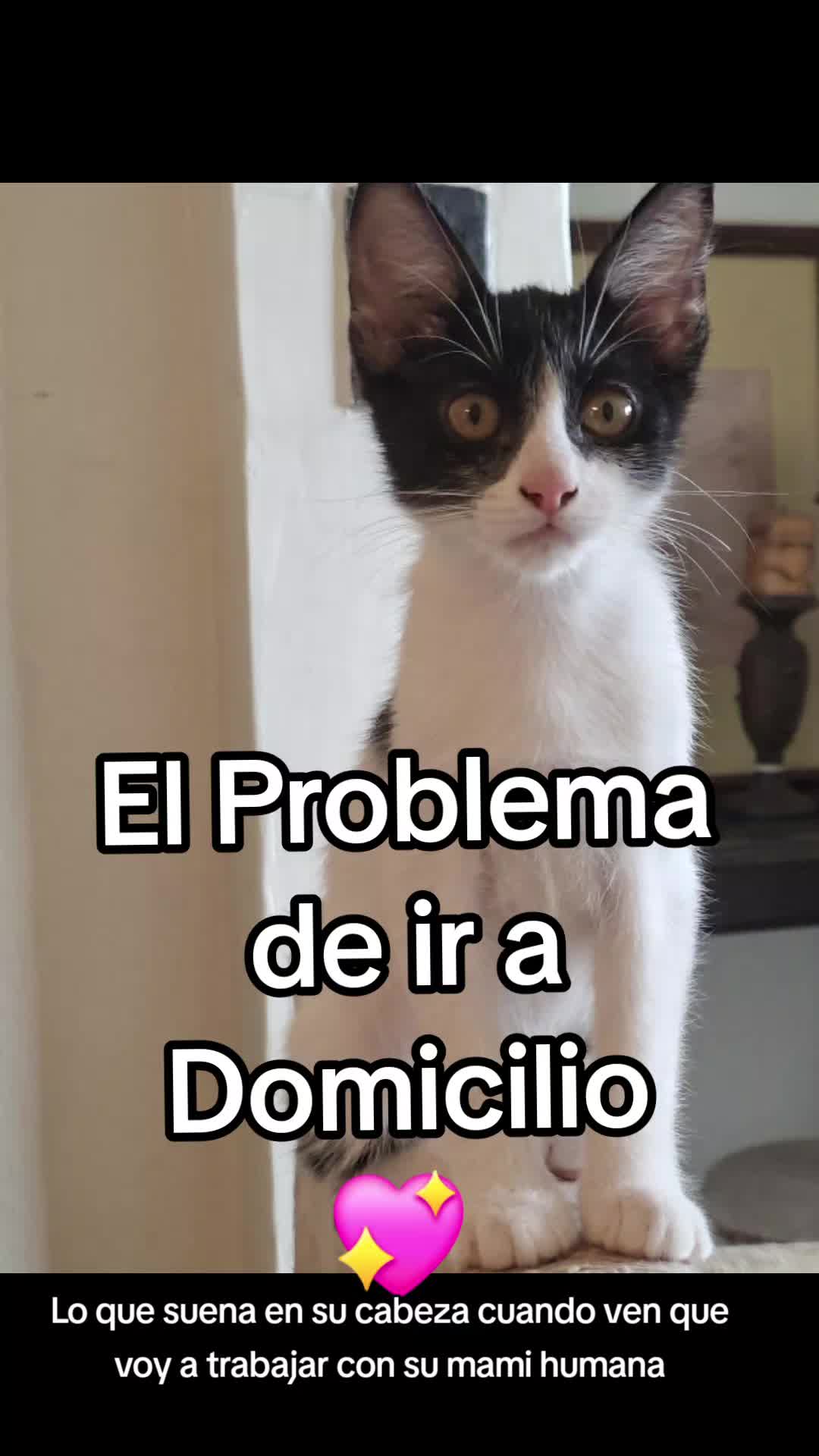 @Nel