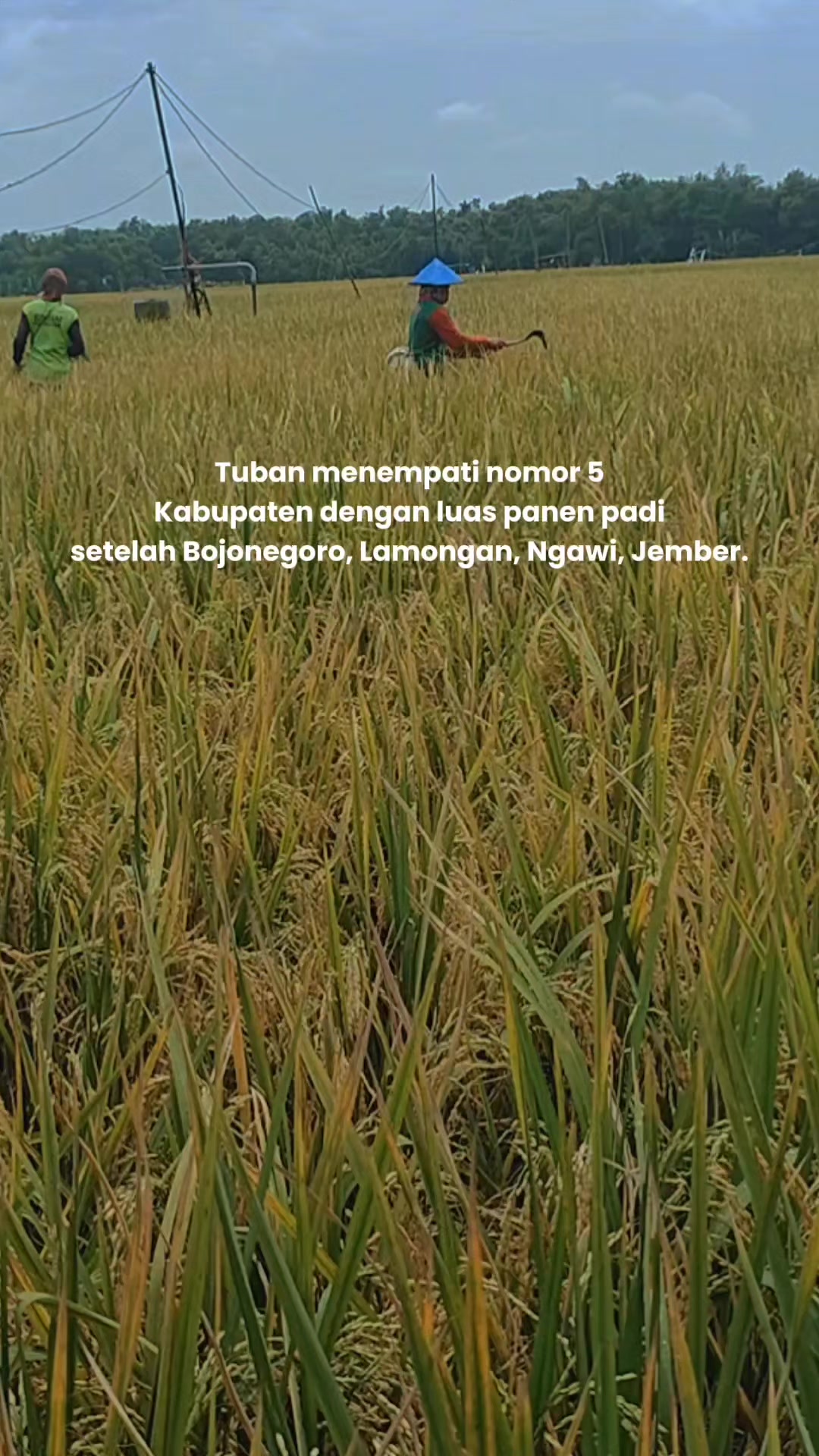 @ahmad mundir