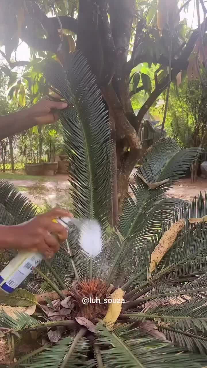 @Funny