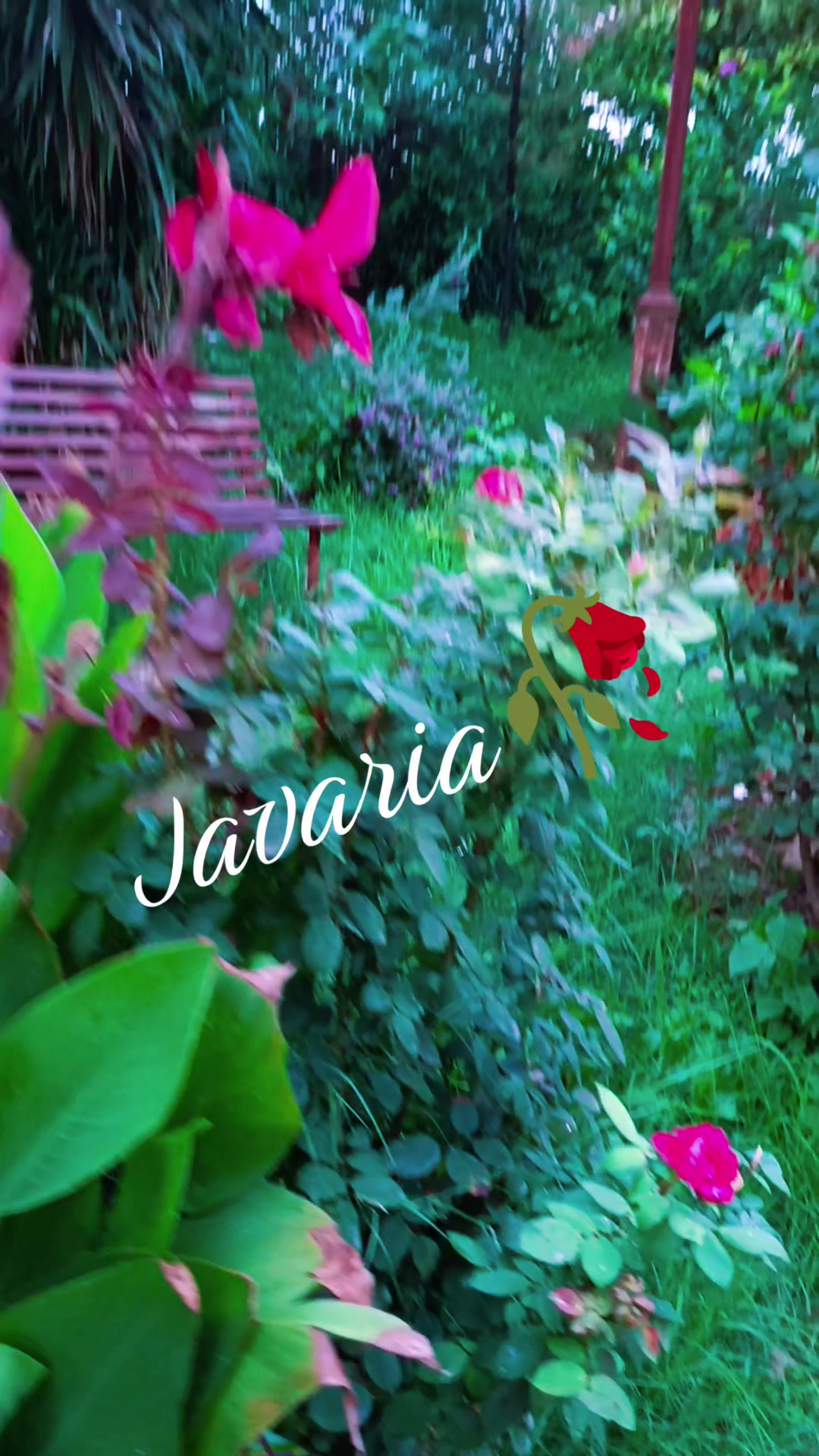 @Dr. Javaria
