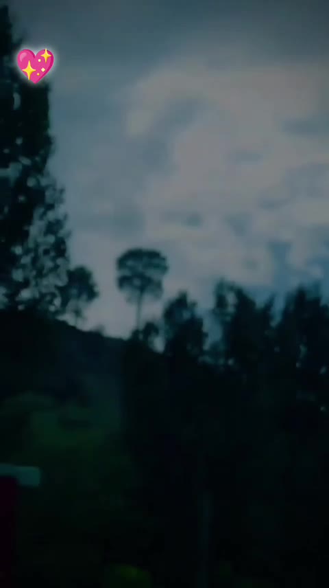 @𝐇𝐚𝐬𝐬𝐚𝐧 🦋🖇️