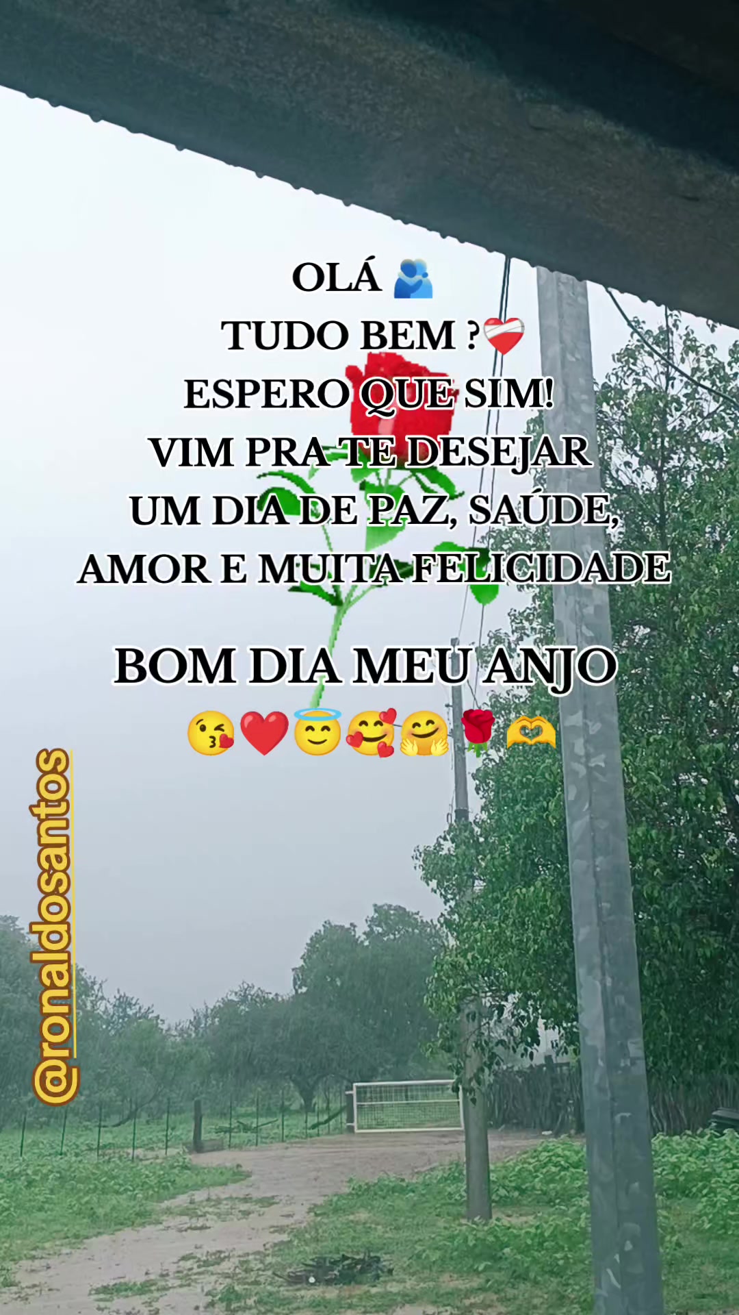 @ronaldosantos