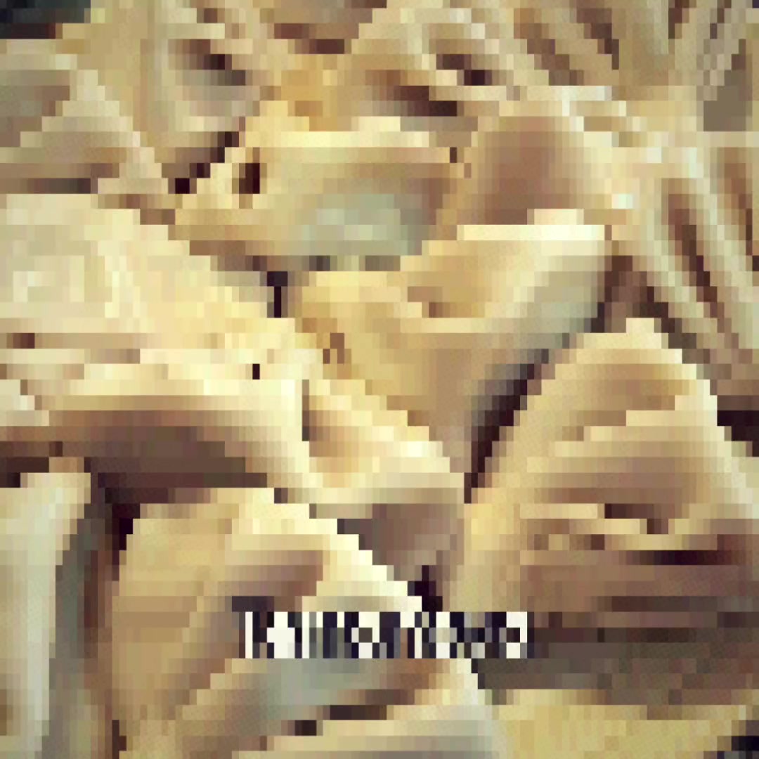 @ꜱᴏᴅᴀ 🥤 | 12K+