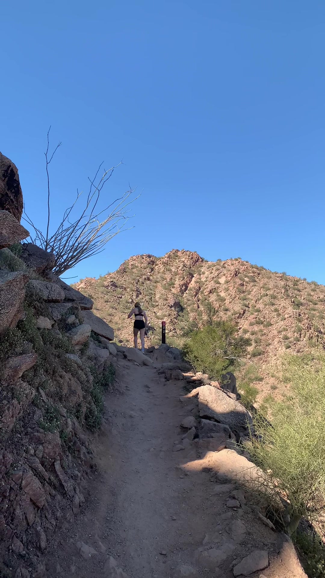@Jake 🦅