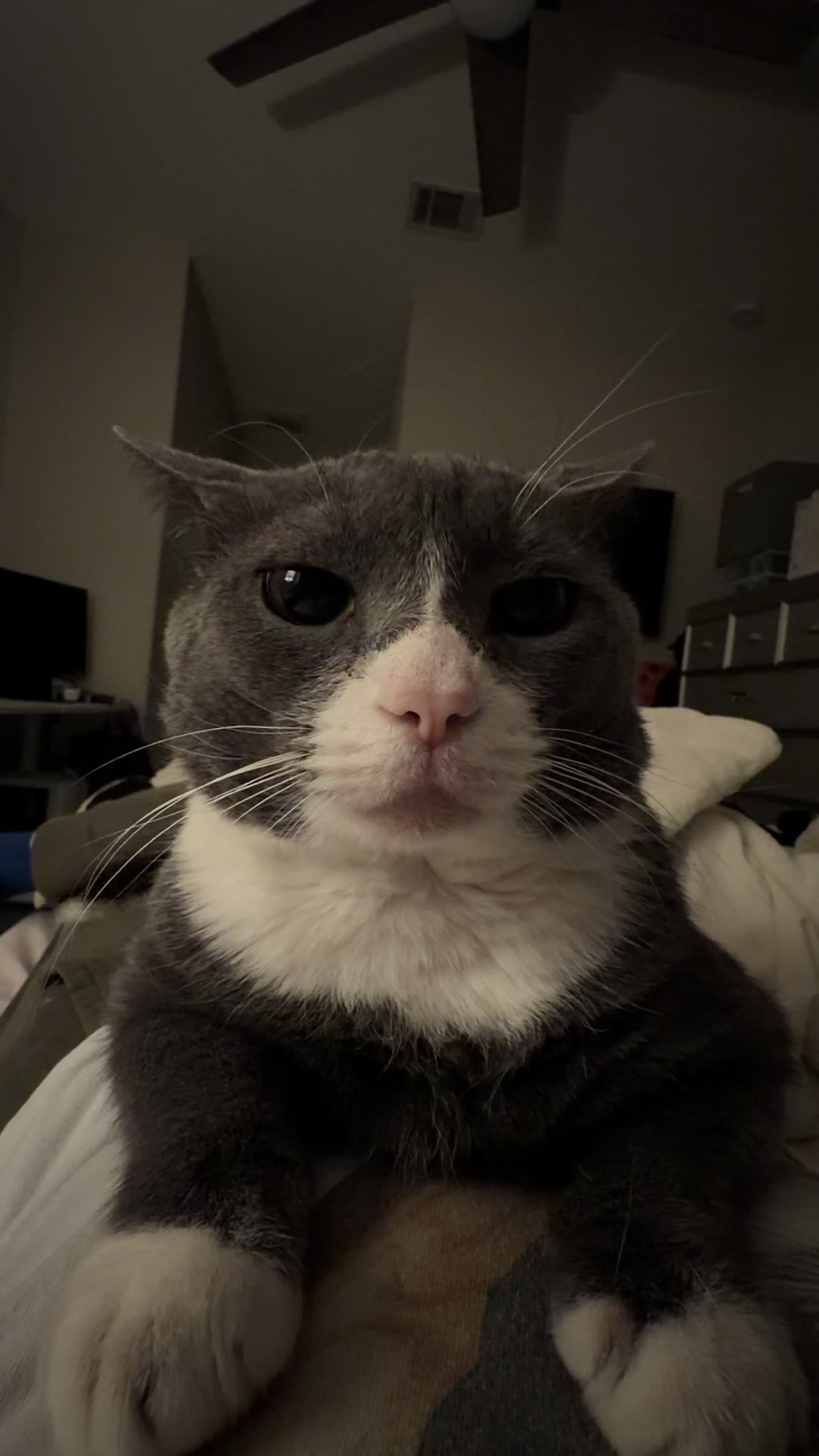 @stinkwalker