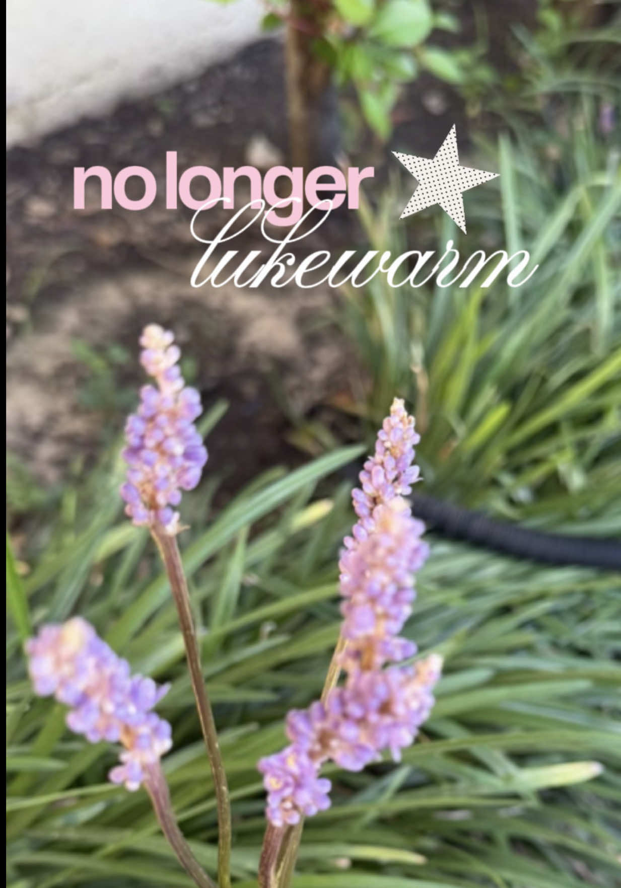 @tori 💫