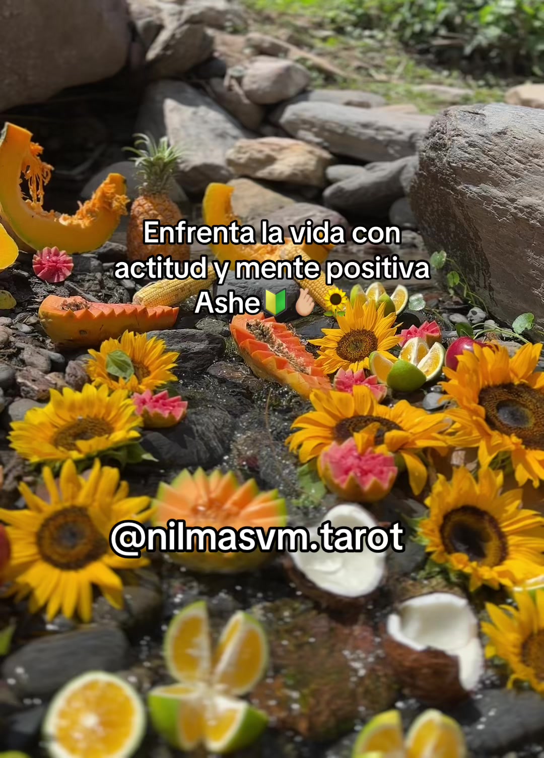 @Nilmasvm 🍓