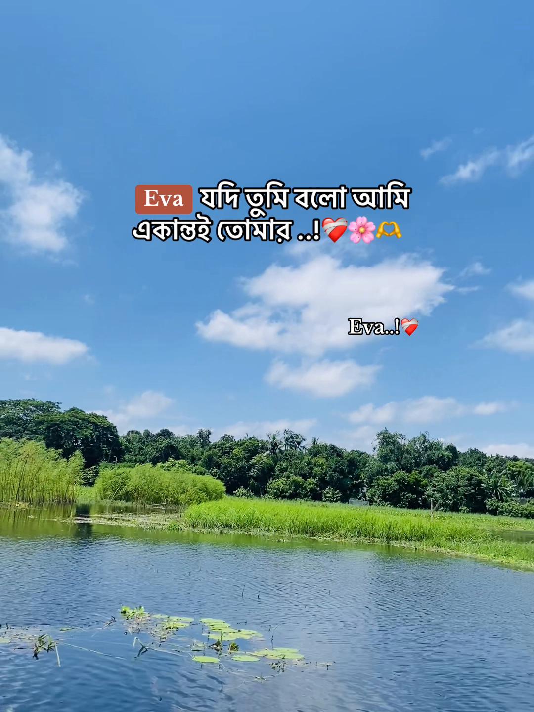 @Ashik