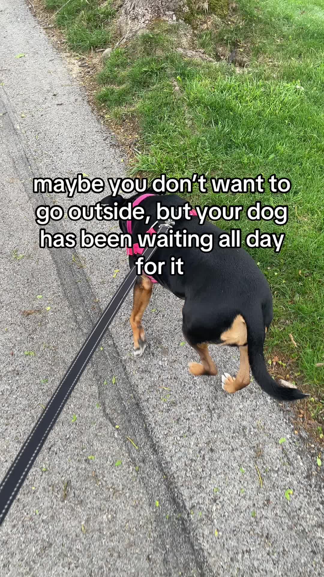 @sophia