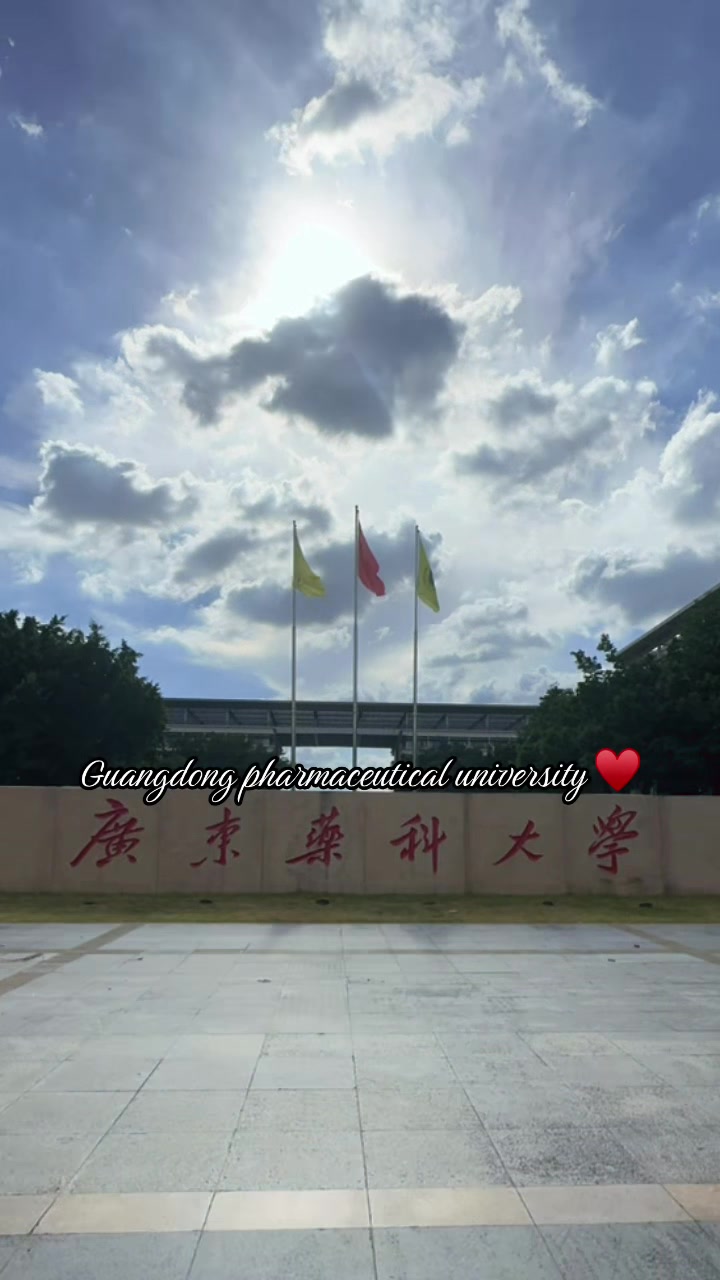 @GDPUVibes🇨🇳🇵🇰