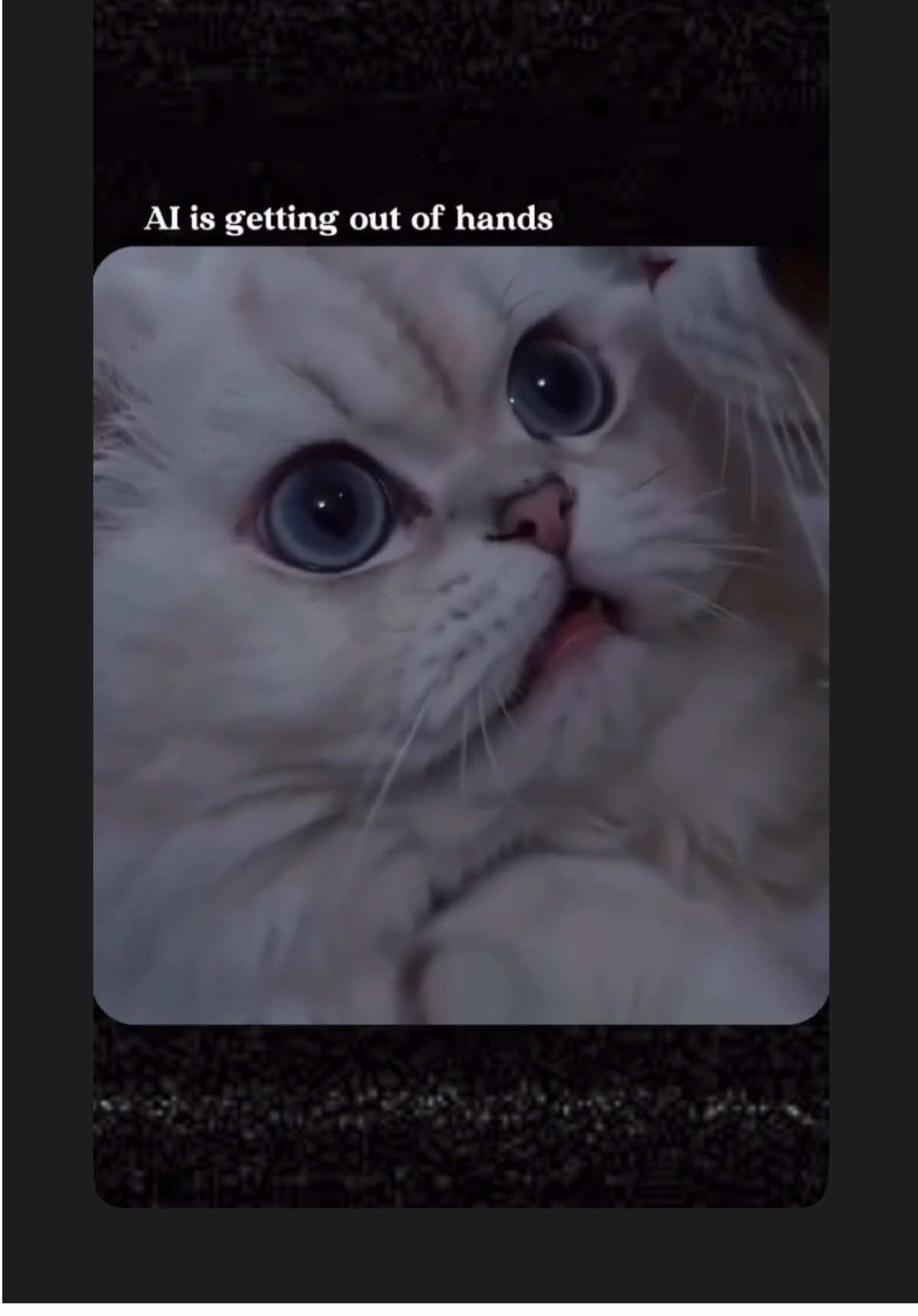 @Purrrrfect Moments