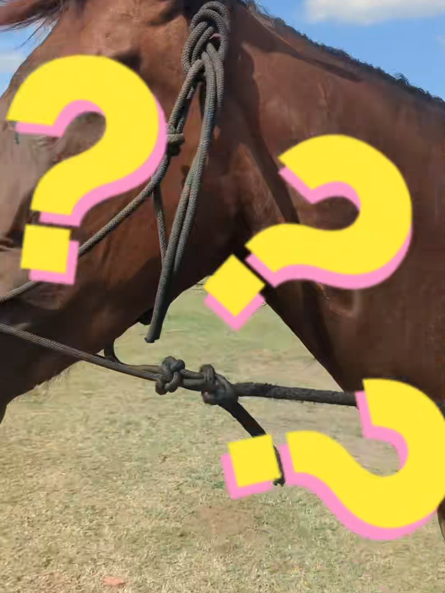 @Black Cowboy Coalition
