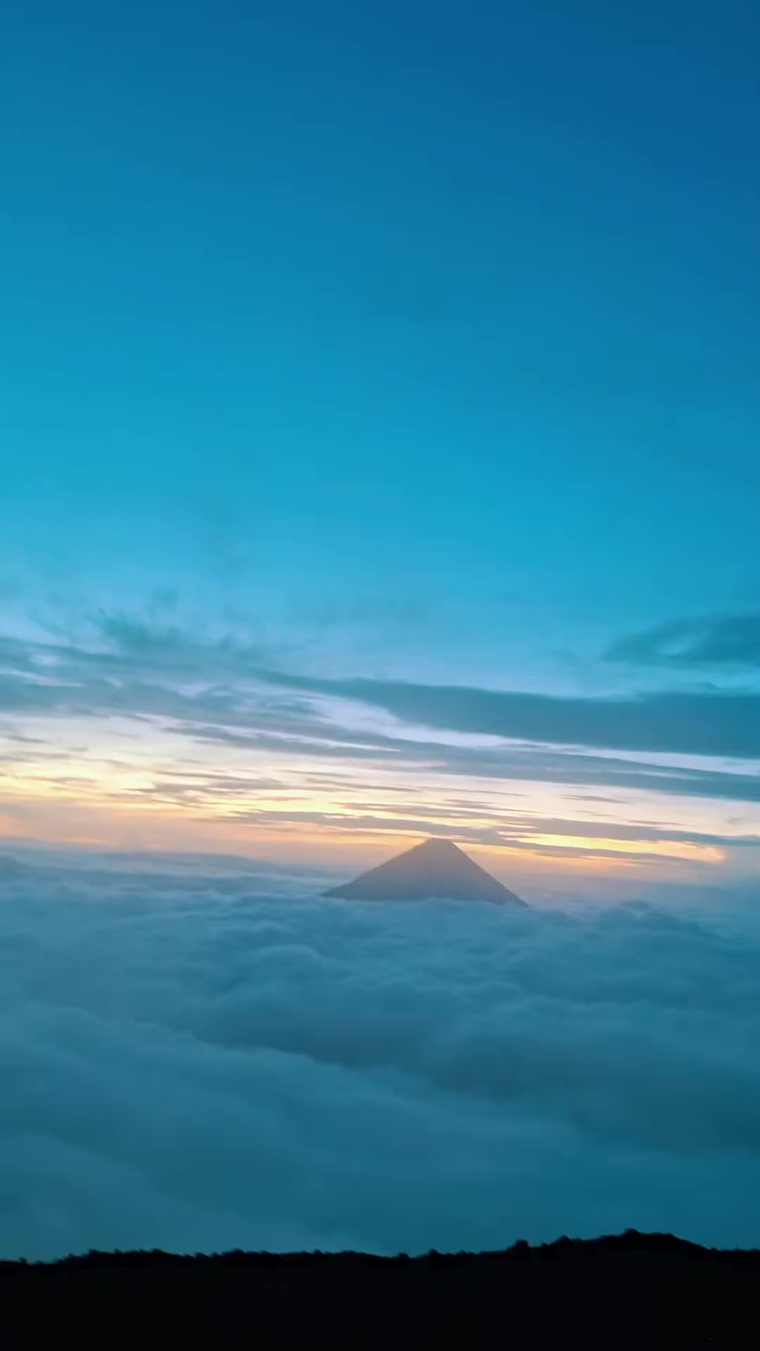@wolfs.travel.agency